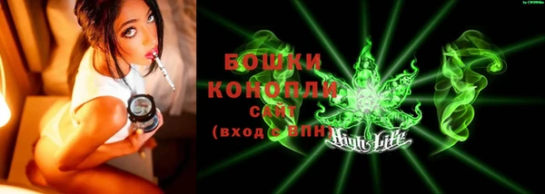 ГАЛЛЮЦИНОГЕННЫЕ ГРИБЫ Абаза