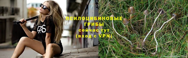 соль ск Абинск