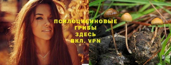 соль ск Абинск