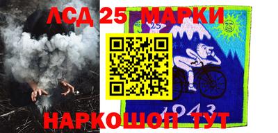 2c-b Камышлов