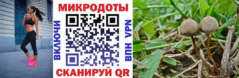 Галлюциногенные грибы прущие грибы  darknet состав  Приморско-Ахтарск  цена  