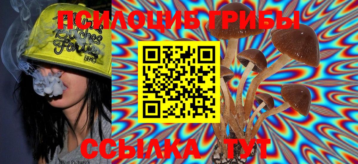 Приморско-Ахтарск  Псилоцибиновые грибы Psilocybine cubensis  Псилоцибиновые грибы ЛСД  Вход с VPN 