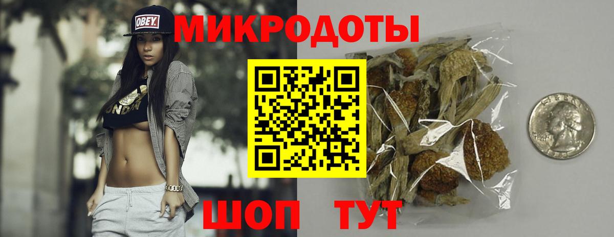 Галлюциногенные грибы Psilocybe Приморско-Ахтарск